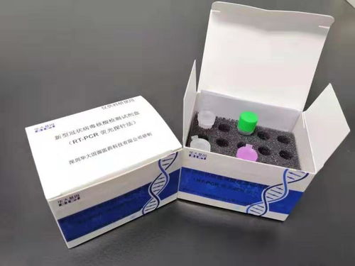 華大基因研發3小時快速新冠病毒檢測試劑盒，宣布技術轉讓推動全球抗疫
