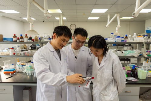 湖北大學巧破亞麻籽油“苦味難關” 耦合脫苦技術重塑健康油脂風味